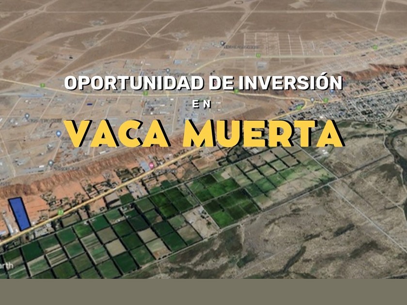 Campo 464