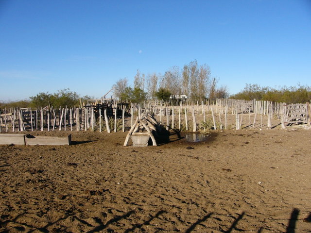 Campo 469
