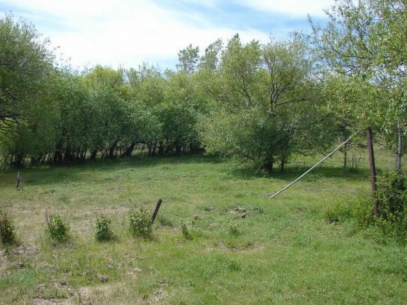 Campo 488