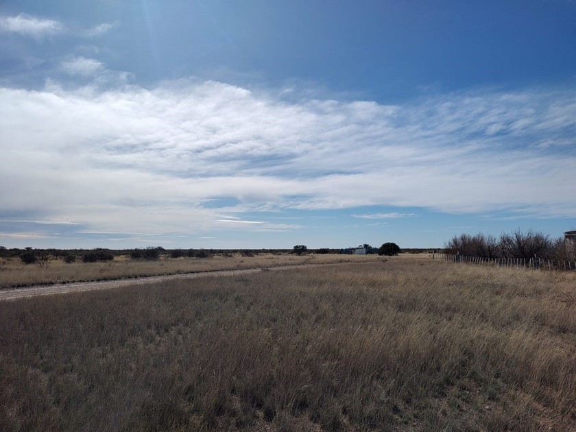 Campo 490