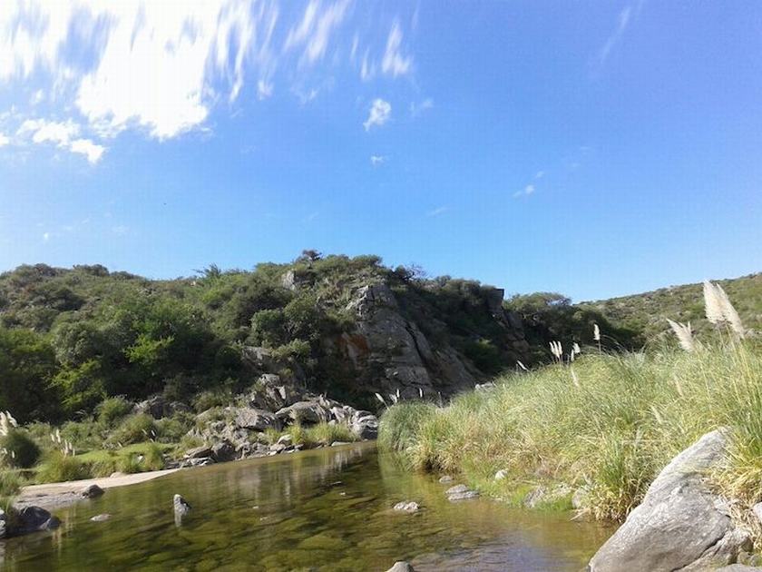 Campo 495