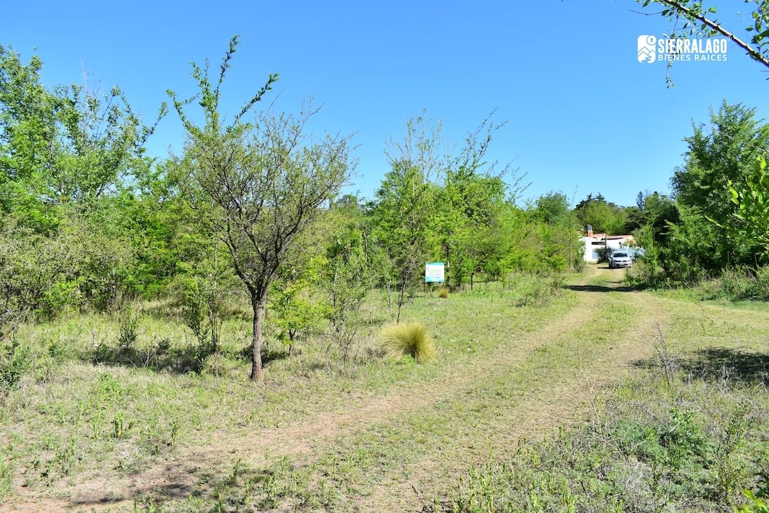 Campo 505