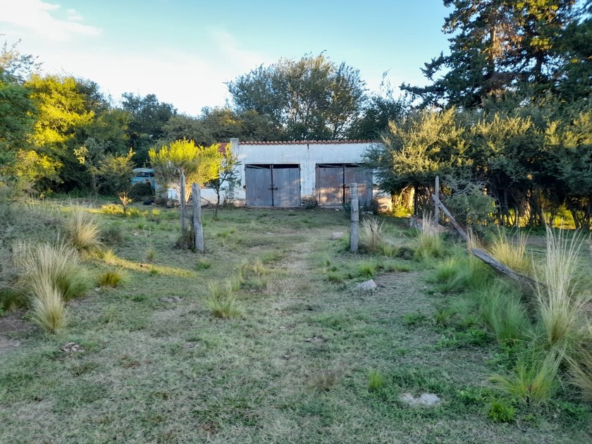 Campo 508