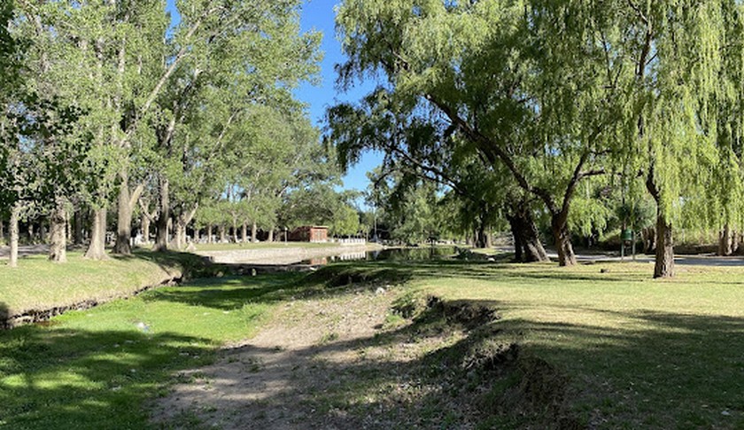 Campo 509