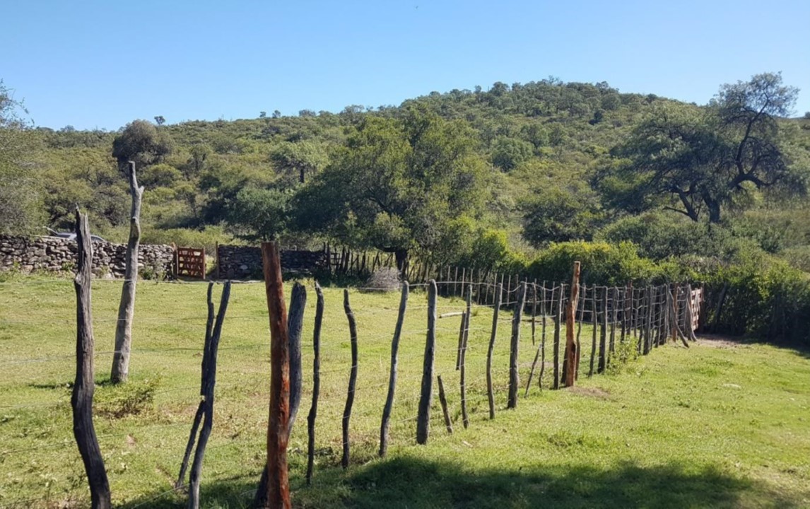 Campo 511