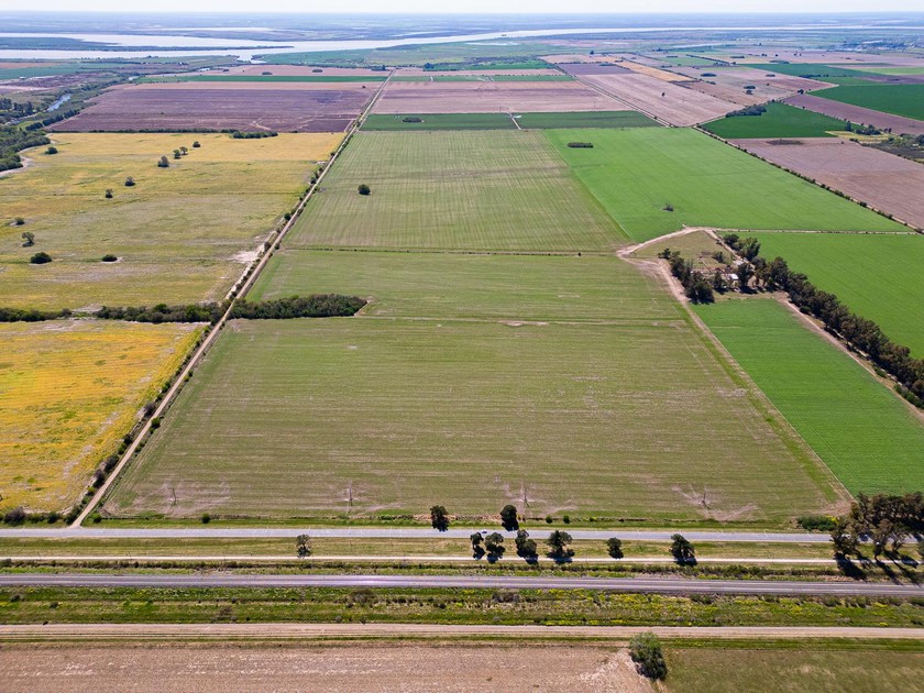 Campo 516