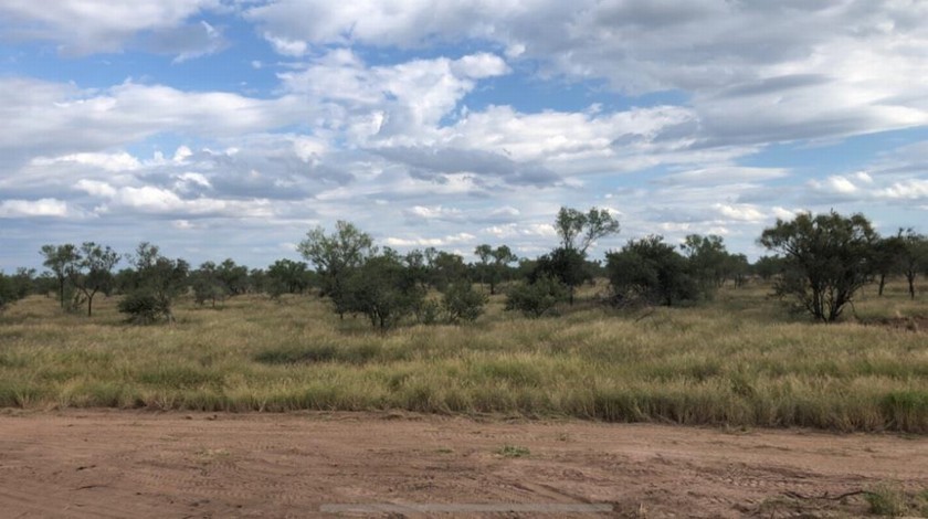 Campo 517
