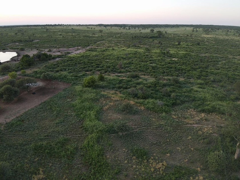 Campo 521