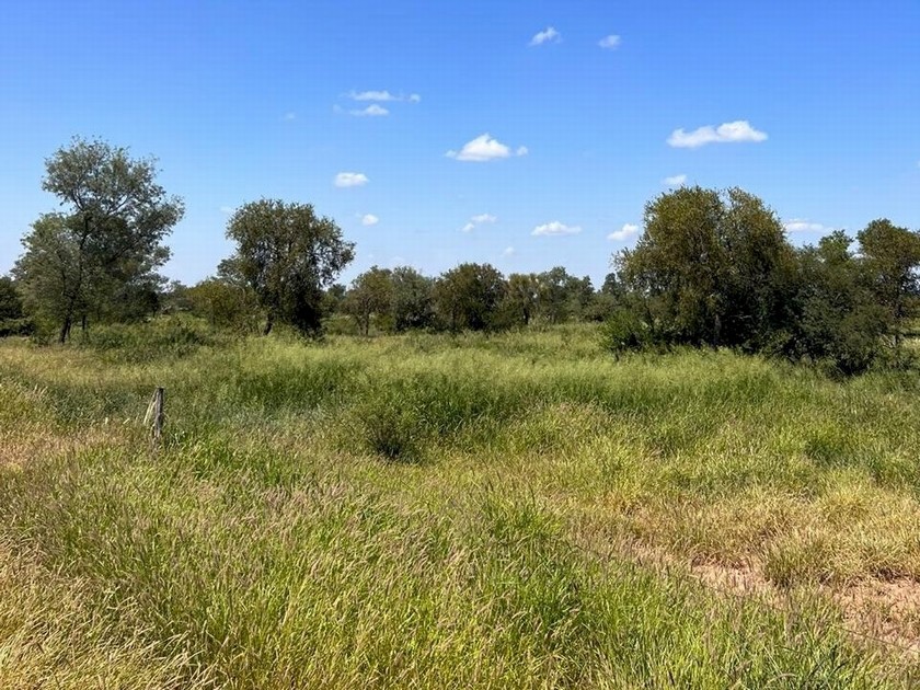 Campo 521