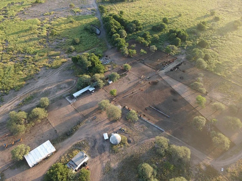 Campo 521