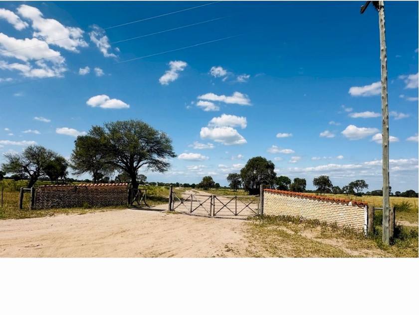 Campo 532