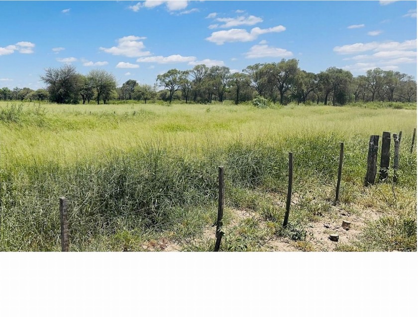 Campo 532
