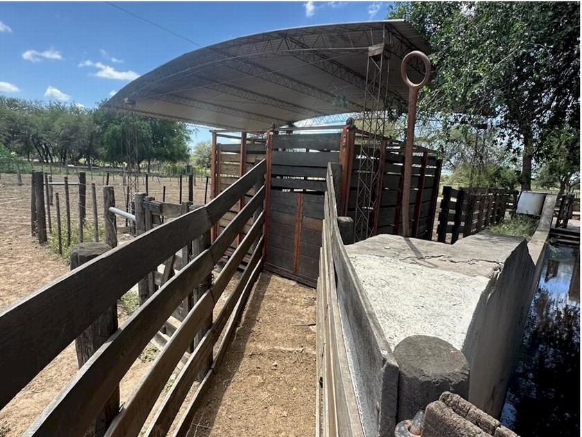 Campo 532