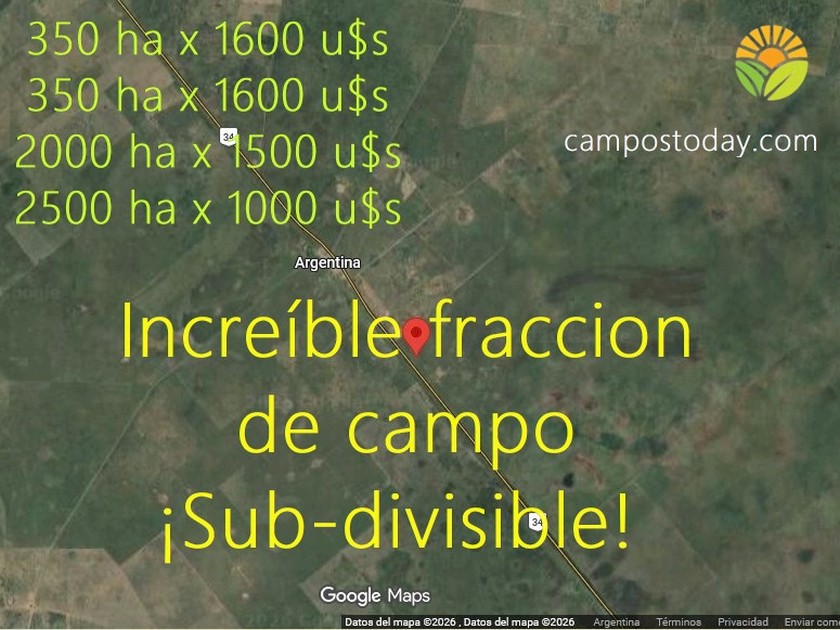 Campo 533