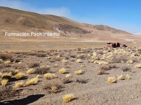 Campo 541