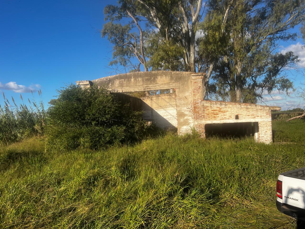 Campo 583
