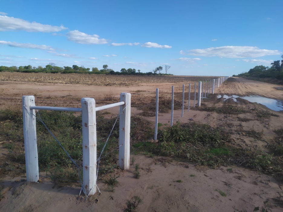 Campo 585