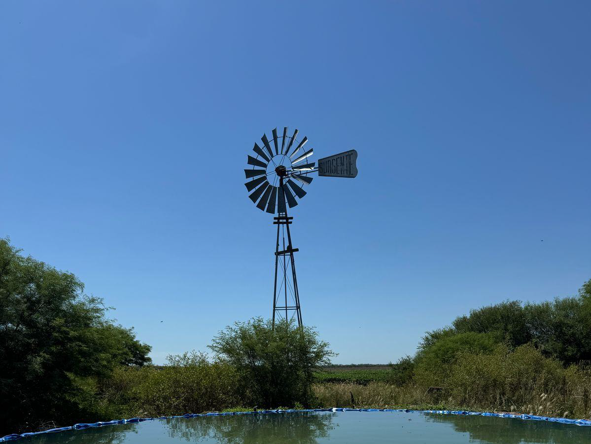 Campo 585
