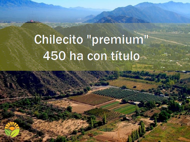 Campo 587