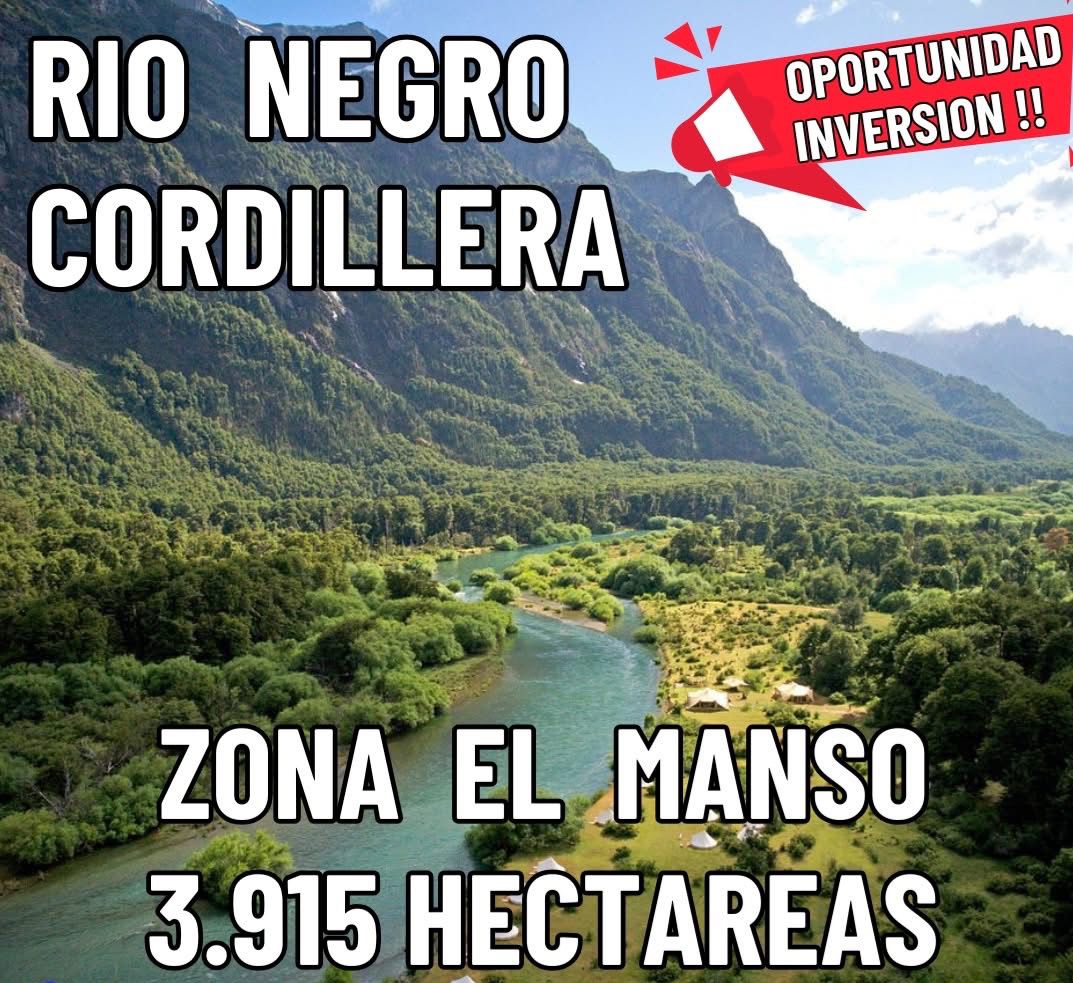 Campo 596