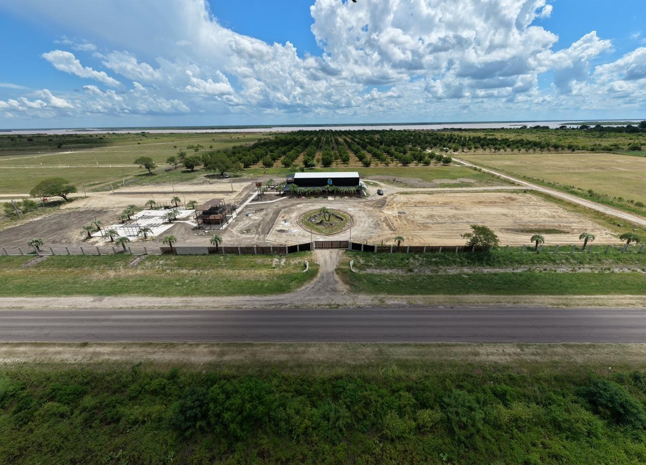 Campo 599