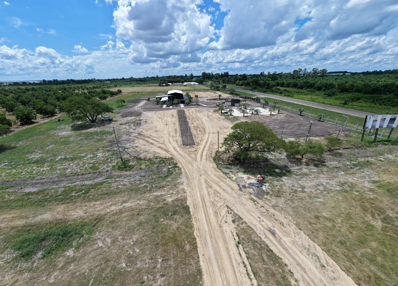 Campo 599