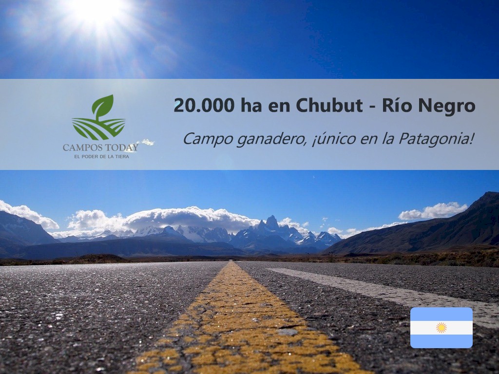 Campo 602
