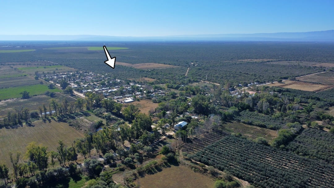 Campo 608