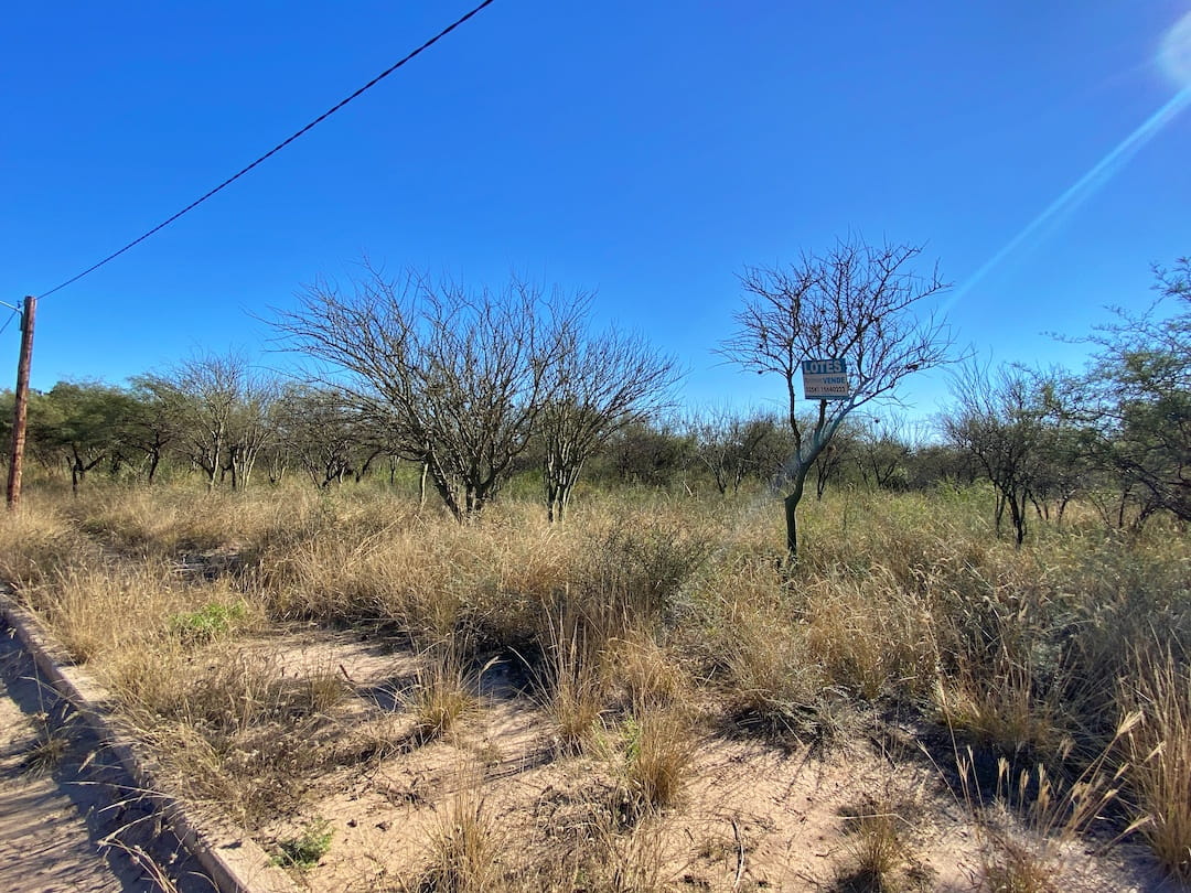 Campo 608
