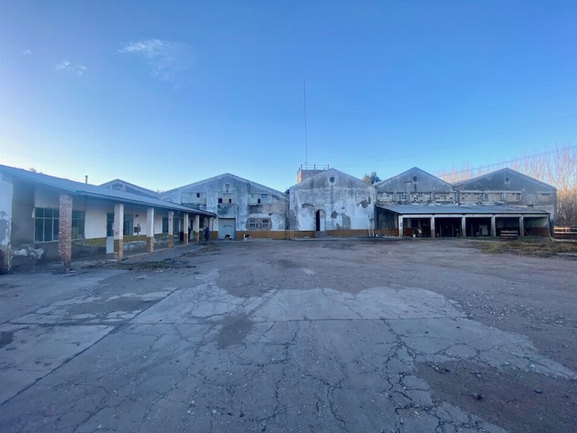 Campo 617
