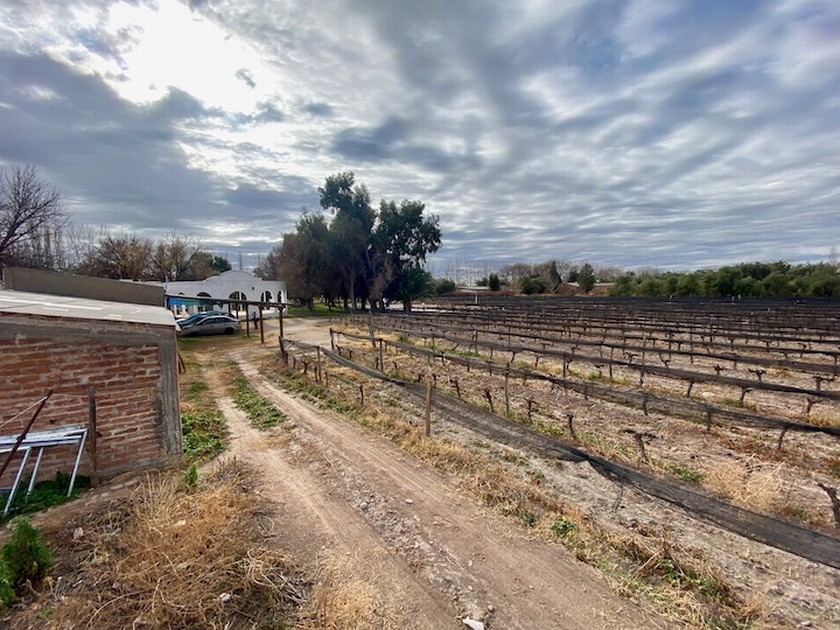 Campo 617
