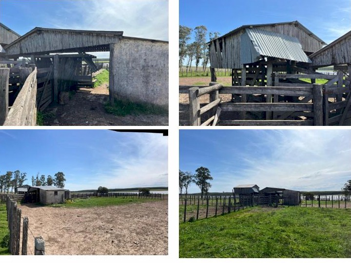 Campo 621