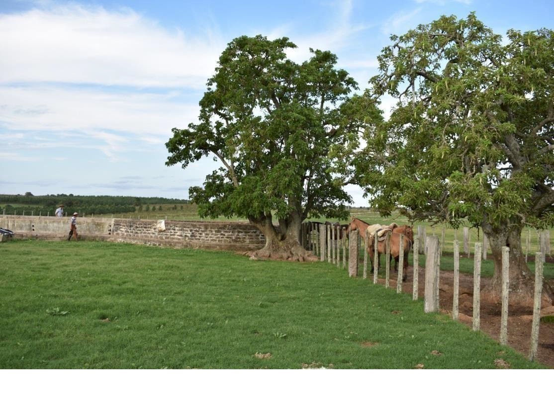Campo 622