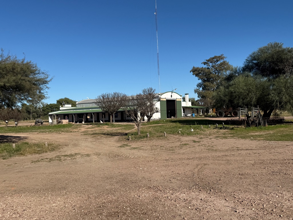 Campo 626