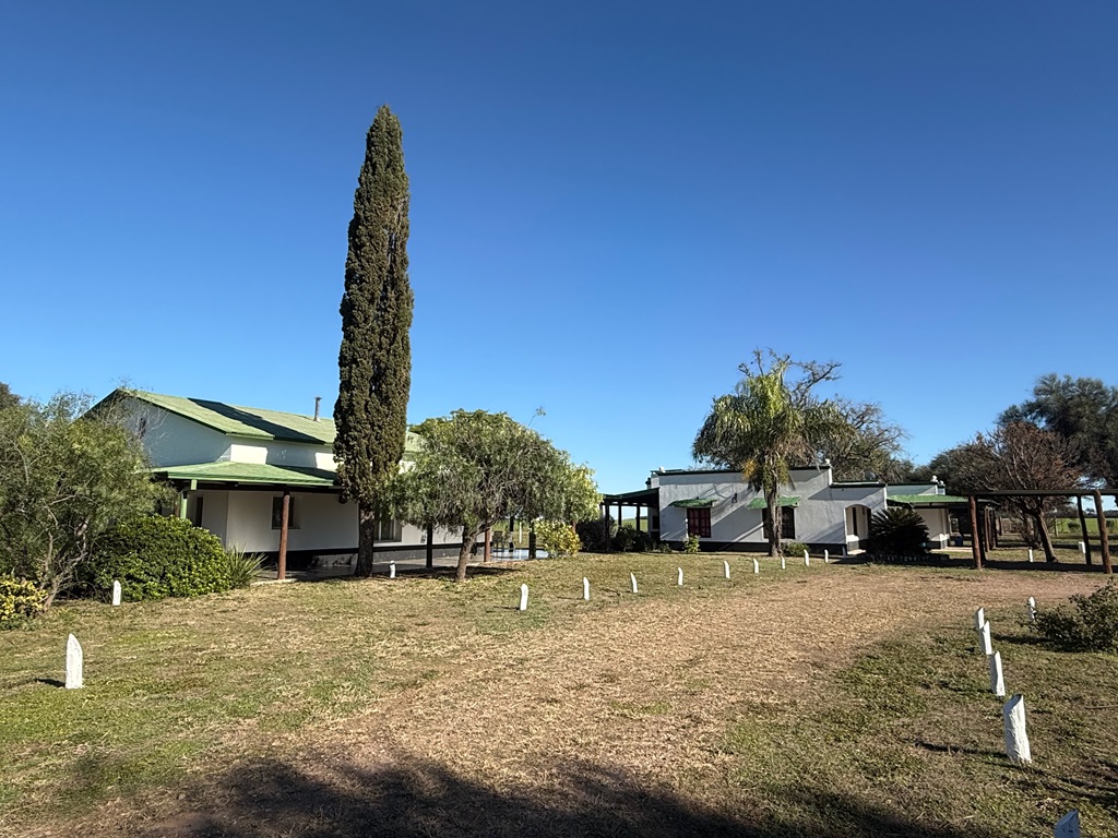 Campo 626