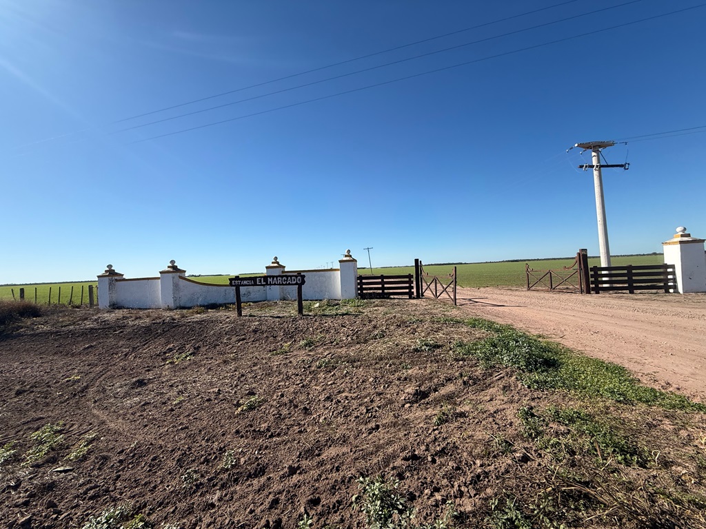 Campo 626