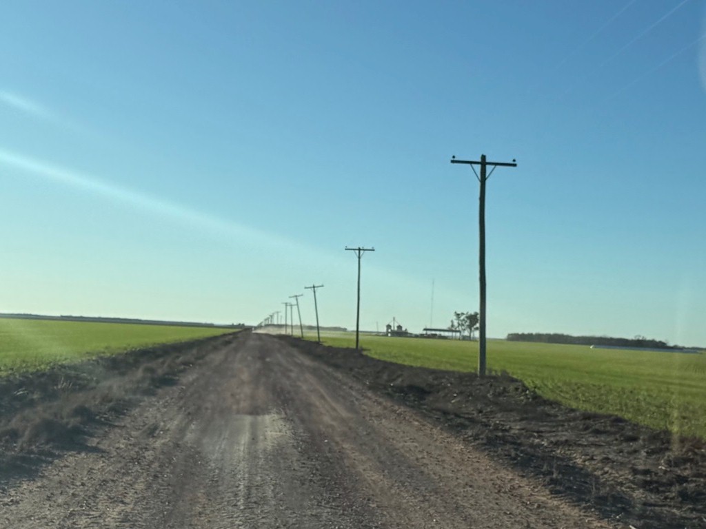 Campo 626