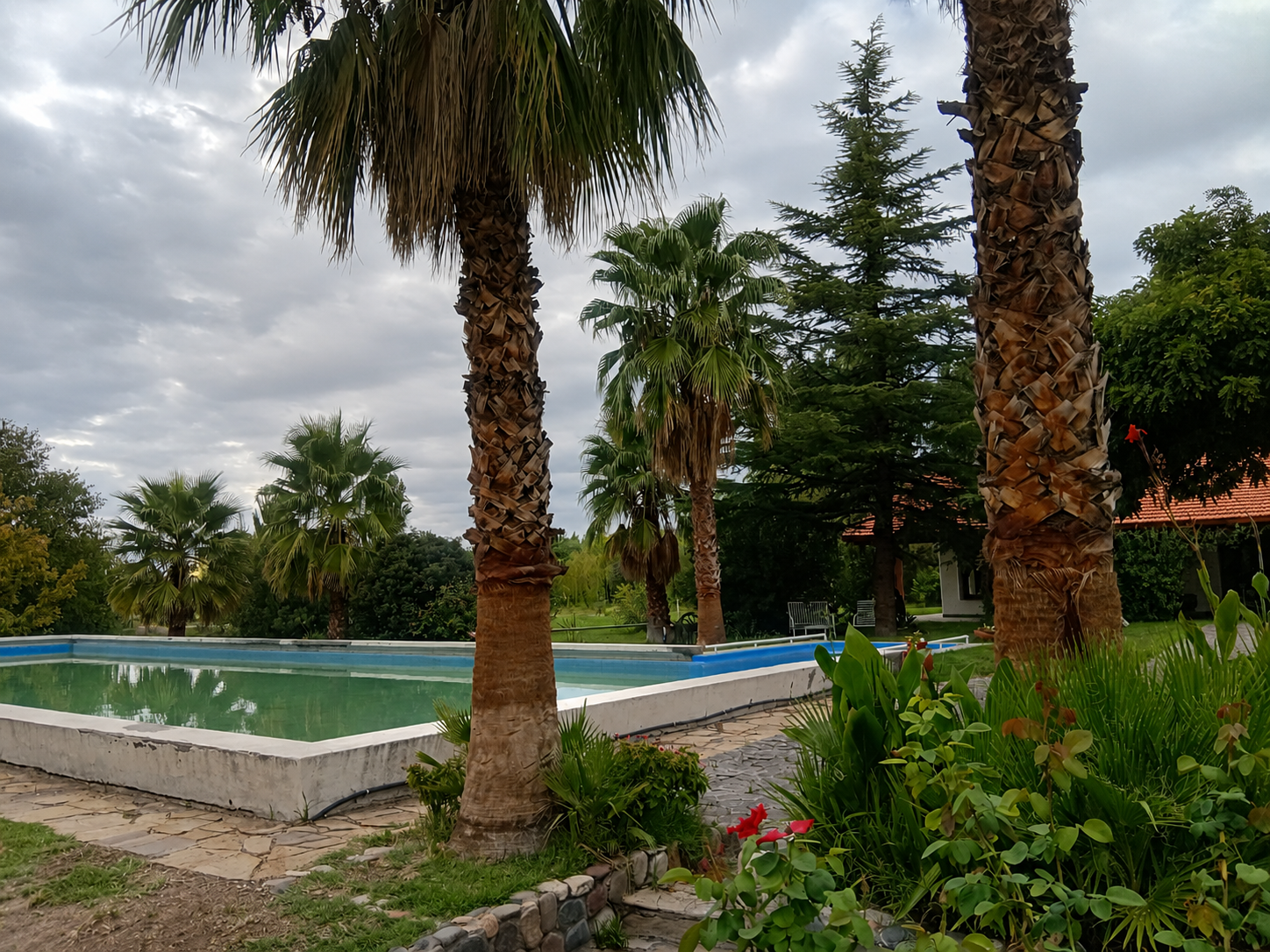 Campo 628