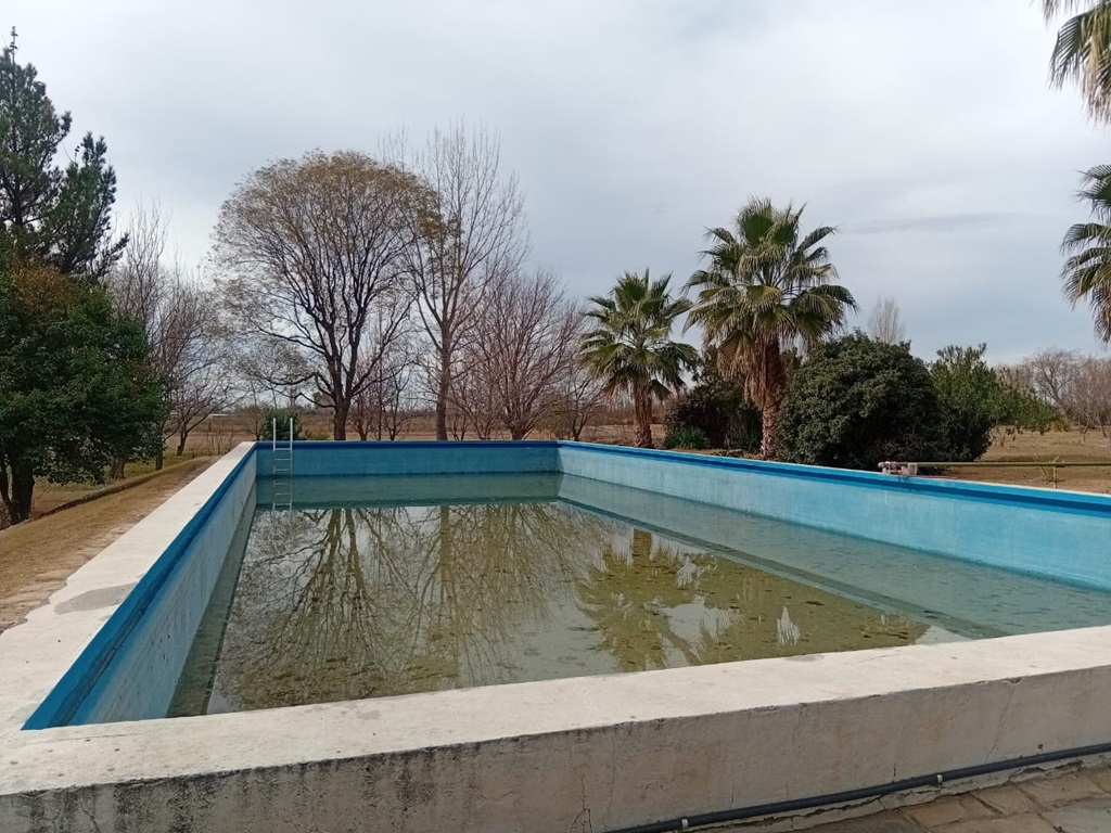 Campo 628