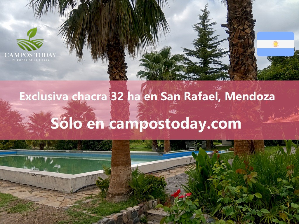 Campo 628
