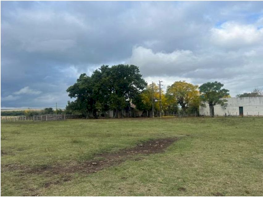 Campo 633