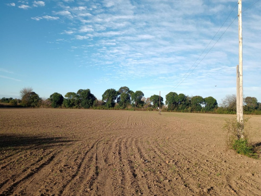 Campo 636