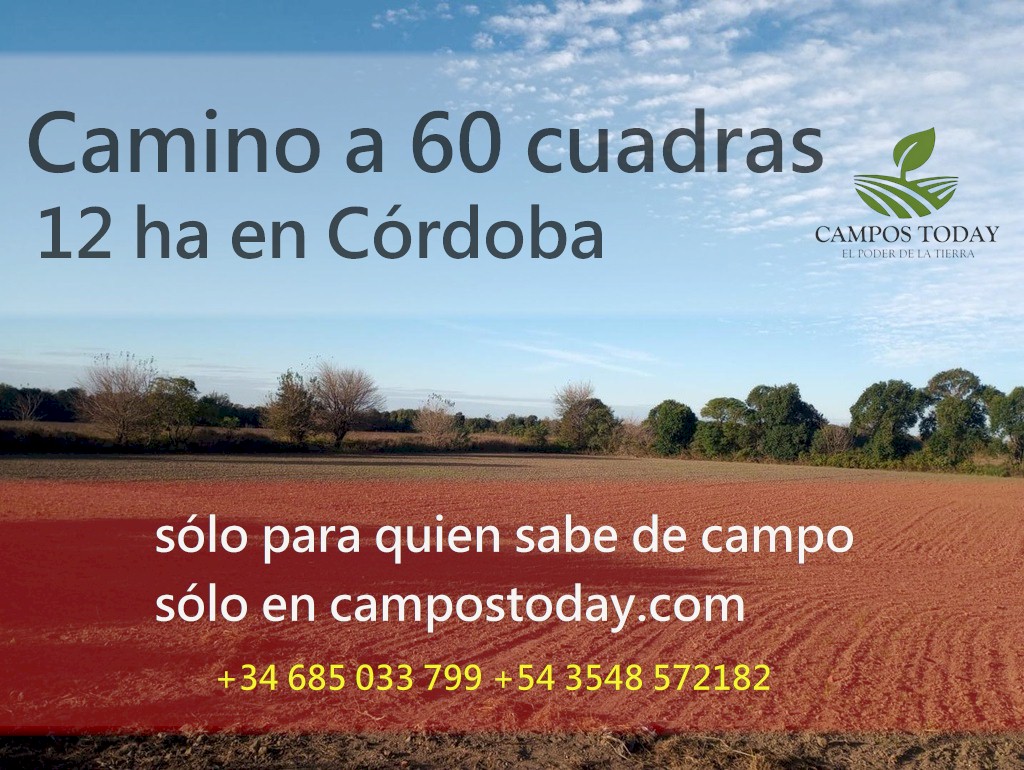 Campo 636
