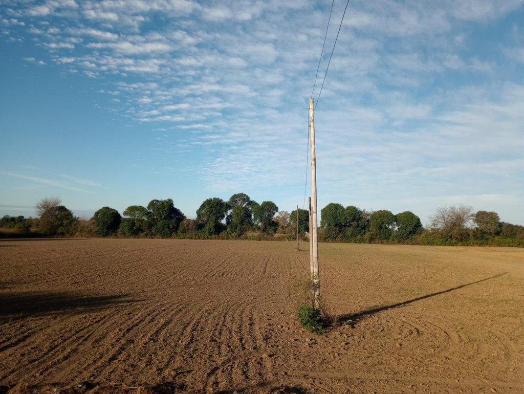 Campo 636
