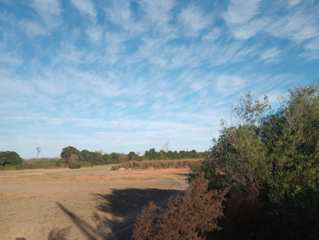 Campo 636